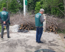 Знищили дерева, аби прибрати паркан – у Запоріжжі оштрафували підприємство