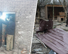 Обіцянку виконали: в Запоріжжі енергетики допомогли відбудувати притулок для тварин після атаки дрона (фото)