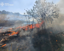 Через обстріли на Запоріжжі сталися масштабні пожежі (фото) 