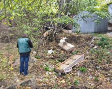 Звалище за гаражами - у спальному районі Запоріжжя виявили смітник поряд з багатоповерхівкою (фото)