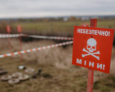 Знайшов металевий предмет у балці - у Запорізькому районі в руках у підлітка вибухнув мінний підривач