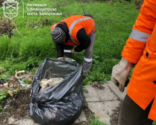 Інспектори змусили попрацювати - в одному з районів Запоріжжя залізничники прибрали стихійне сміттєзвалище (фото)
