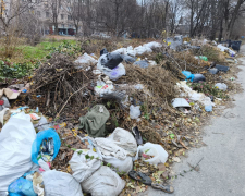 У Комунарському районі виявили чергове сміттєзвалище (фото)