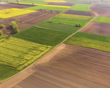 Громаді повернули землю — у Запорізькому районі розірвали оренду за несплату