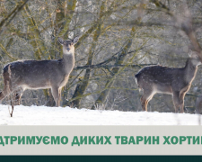 Зима на Хортиці - як у заповіднику допомагають диким тваринам пережити морози (фото)