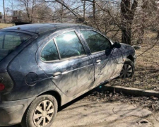 В Запорожье пьяный водитель пытался уехать от полицейских - помешало дерево