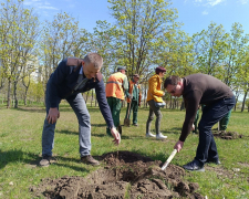 У Запоріжжі з'явилася алея дубів із «шевченківським корінням» (фото)