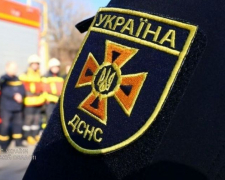 В Запоріжжі рятувальники ліквідували пожежу автомобіля