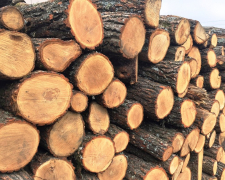 Виплати на отримання дров: що потрібно зробити запоріжцям – важлива інформація від Пенсійного фонду