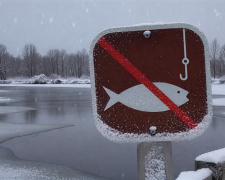 Екологи попереджають про тимчасову заборону: яку рибу не можна ловити у Запорізькій області 