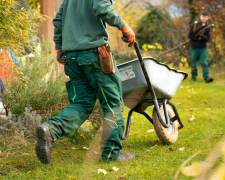 Що робити на городі в березні: практичні поради садівникам