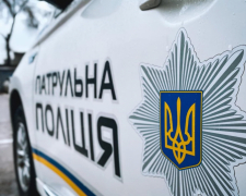 Лежало знесилене посеред дороги - у Запоріжжі патрульні врятували маленьке совеня (фото, відео)