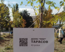 У Запоріжжі хочуть перейменувати сквер імені Дениса Тарасова - на захист загиблого героя встав відомий актор