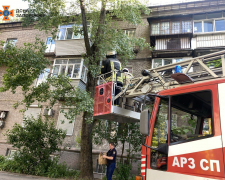 Заліз на дерево та не зміг спуститися – у Запоріжжі врятували кота (фото)