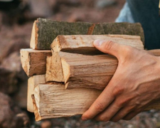Мешканцям Запорізької області, які живуть біля зони бойових дій, безкоштовно видадуть дрова