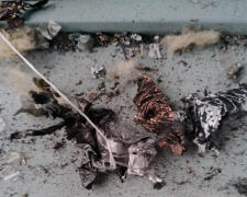 Долітались – на Запоріжжі прикордонники знищили 10 російських FPV-дронів