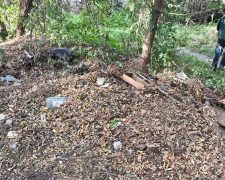 У Запоріжжі екоінспектори виявили сміттєзвалище біля будинку — ще два в інших районах прибрали (фото)
