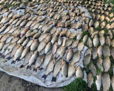 У Запоріжжі браконьєр за раз наловив понад 200 кг риби - ні скуштувати, ні продати не вдалося