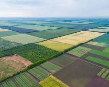 Безкоштовно отримав ділянку для господарських робіт - в Запоріжжі через суд конфіскували землю в іноземця