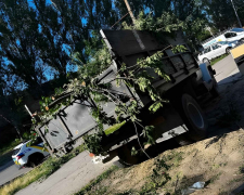 У Дніпровському районі міста без дозволу майже повністю знищили дерево