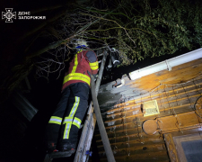 У Запоріжжі ввечері загорілась лазня - причина пожежі (фото)