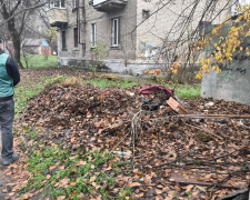 Стихійні сміттєзвалища в Олександрівському районі Запоріжжя: екологічна інспекція виявила забруднені ділянки