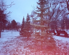 Яка погода буде на Різдво та на Свято Собору Пресвятої Богородиці - прогноз