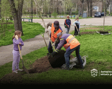 Висаджували навіть діти - у запорізькому парку з&#039;явилися дві сотні нових дерев та кущів (фото)