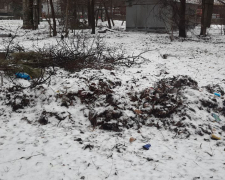 Сміття у дворі Вознесенівського району. 