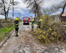 У Запорізькому гідрометцентрі розповіли, звідки прилетів вчорашній буревій та яка погода буде найближчими днями
