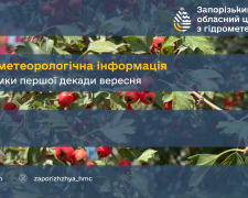 Спека і сухість загрожують посівній - аграрії Запорізького району б’ються з ґрунтовою засухою