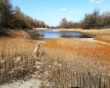 Озера та первоцвіти - як виглядає заповідна частина Хортиці в перші дні весни (фото)