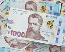 Стартувала подача заяви на виплату &quot;зимової&quot; 1000 грн від держави через Дію - як запоріжцям отримати і на що можна витратити