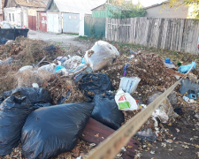 У Запоріжжі виявили сім незаконних сміттєзвалищ – фото