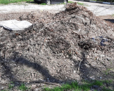Сміття біля будинку: у Запоріжжі екологи знайшли несанкціоноване скупчення відходів (фото)