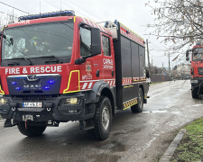 Рятувальники прийшли на допомогу: в Запоріжжі з колодязя витягли корову (фото, відео)