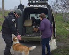 На Запоріжжі з-під обстрілів евакуювали дитину та дорослих, фото: Влад Маховський