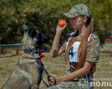 Змагання разом з чотирилапими напарниками - у Запоріжжі пройшов чемпіонат серед кінологів силових структур