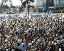 Трохи снігу та морозу - якою буде погода в Запоріжжі найближчими днями