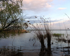 Хмарно, але тепло - чого очікувати від погоди в Запоріжжі найближчими днями