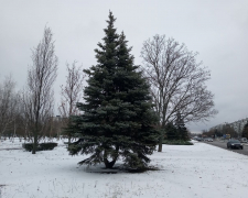 Якою буде погода в останні дні року, що минає - прогноз для Запоріжжя