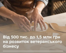 Ветерани із Запоріжжя можуть отримати до 1,5 млн грн на власний бізнес - як подати заявку