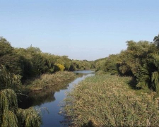 Якість води погіршується - науковці дослідили стан малих річок на Запоріжжі