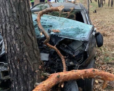 Пасажир загинув на місці - у Запоріжжі авто врізалося в дерево (фото, відео)