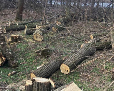 Мешканець Запорізької області найняв людей для незаконної вирубки лісу