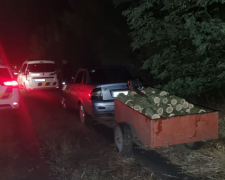 Пиляв у темноті - у Запорізькій області браконьєр з пилою та дровами потрапив до рук правоохоронців (фото)