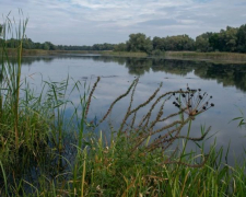 Як виглядають Дніпровські плавні під Запоріжжям у перший місяць осені - фото