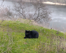 Хортиця, весняна погода. Фото Антоніни Фролової