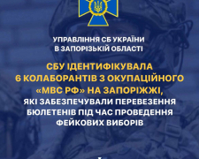 Перевозили бюлетені під час фейкових виборів – на Запоріжжі викрили шістьох зрадників