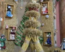 Різдво в серці міста - у запорізькому театрі встановили триметровий дідух (фото)